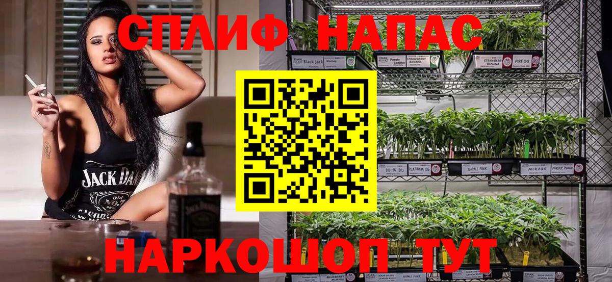 Каннабис конопля Дубна